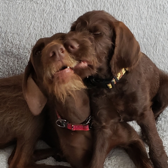 Meet your Posher, Crystal - Picture 13 of 15